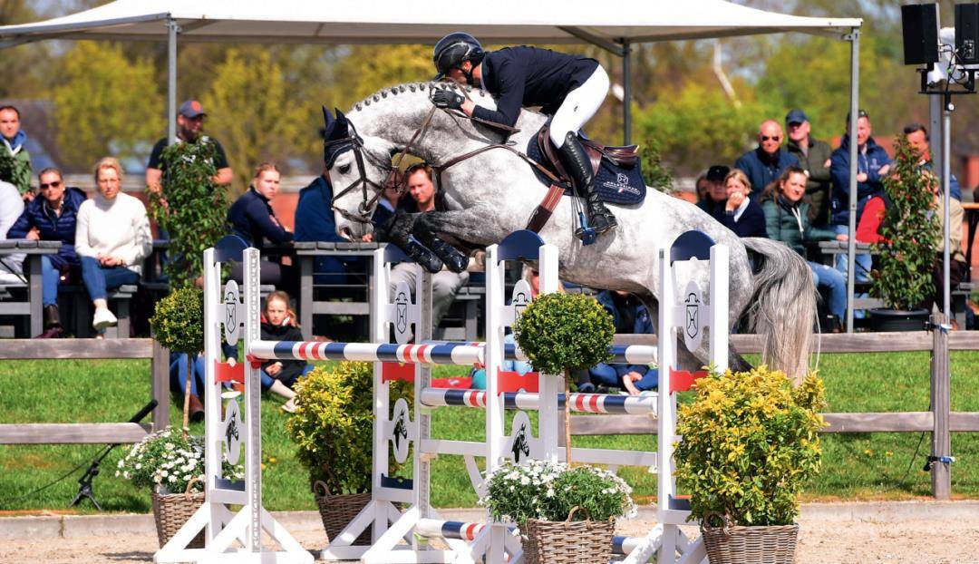 原创来了霍士丹马协会才知道母马竟比种公马还有价值