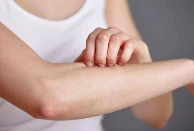 原创天然养肝王被发现枸杞靠边站敞开吃肝脏更强壮