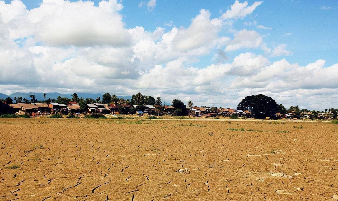 原创大地赛珍珠的中国情结道尽中国农民对土地的依恋