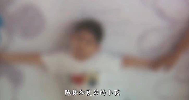 儿子去世6年,婆婆3次将儿媳告上法庭,法庭上意外揭露儿子秘密_陈林告