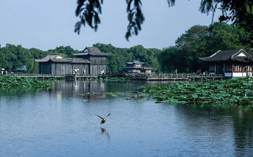 杭州跟团游报价及价格表,纯玩网红导游一对一服务_景点_行程_美景