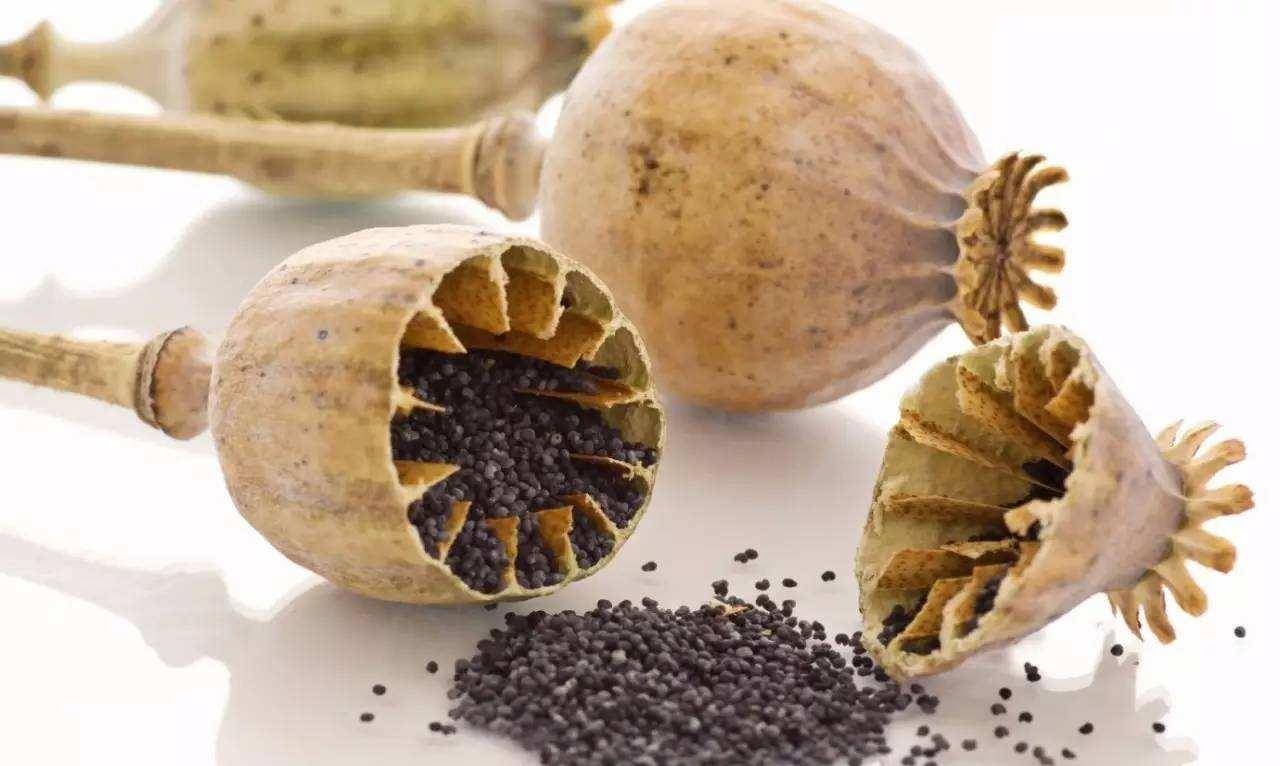 实际上在当时人们最迫切需要的就是吗啡,吗啡就是从鸦片中提取的,在