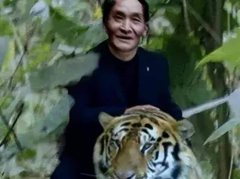 原创07年华南虎造假事件后周正龙养蜂致富盖别墅却仍坚持寻虎