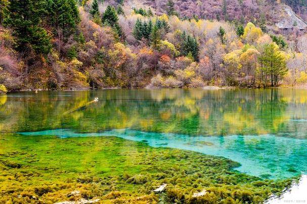 十佳必游旅游景区解析,畅游四川不迷路_阿哥_景点_历史