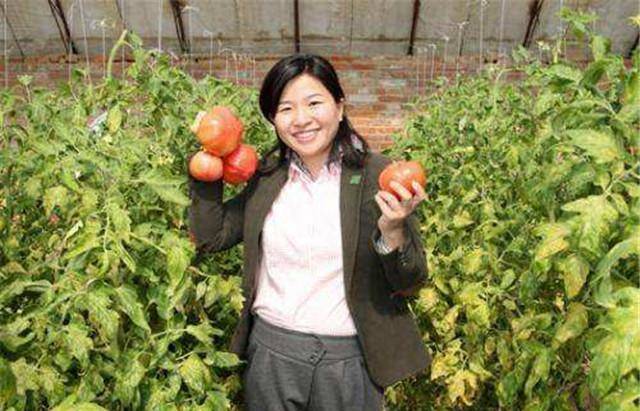 剑桥女博士弃百万年薪田间种地年收入破亿世界500强找她合作