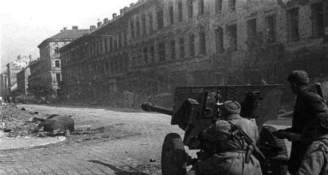 二战后美国有100艘航母万架飞机为啥不敢灭苏联美国在怕啥