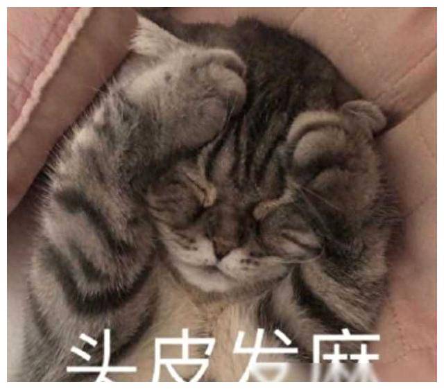 揭秘为何众多渣男遭人痛斥真相大揭秘让你大开眼界