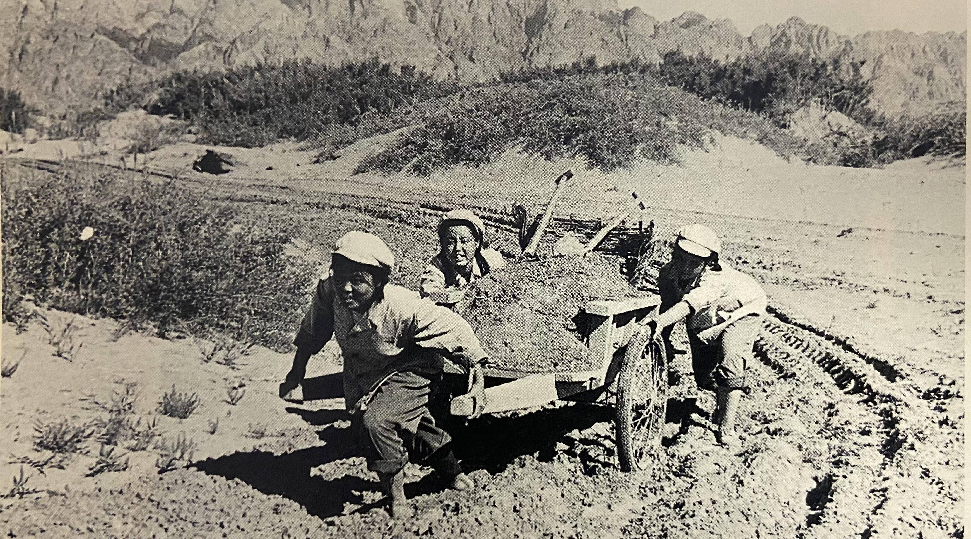 知青70年当逃兵被亲哥气回东北放弃上海房产扎根东北53年