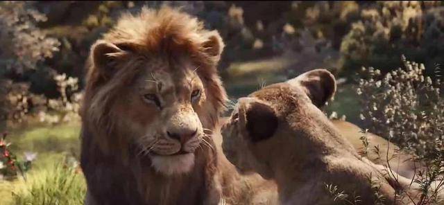 原创原创狮子王辛巴被刀疤叔叔骗了三次成功每一次都是血淋淋教训