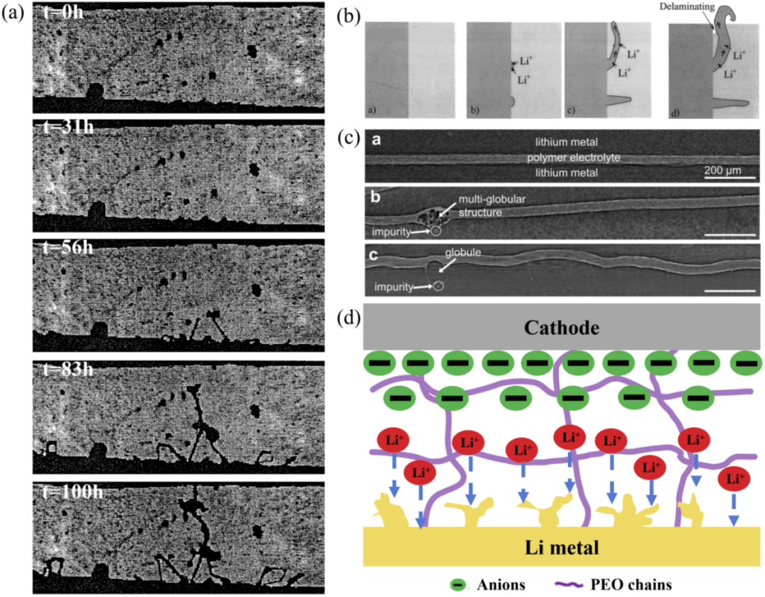 ​2024中国电池展 | 以锂金属为负极的固态电池界面所遇到的挑战_电