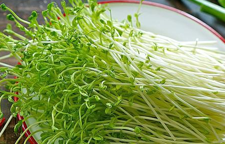 经常吃这个菜,以后出门不擦防晒霜也不怕了,美白养颜还便宜_豆苗_青蒜