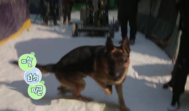 原创原创沙海小满哥镜头前威武高冷私下里却是和尹南风打成一片