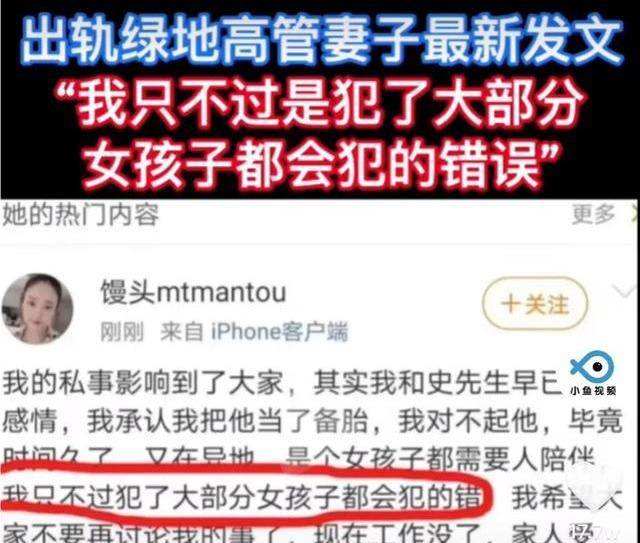 原创谎言不堪一击绿地事件史睿生回应大家认为谁在说谎