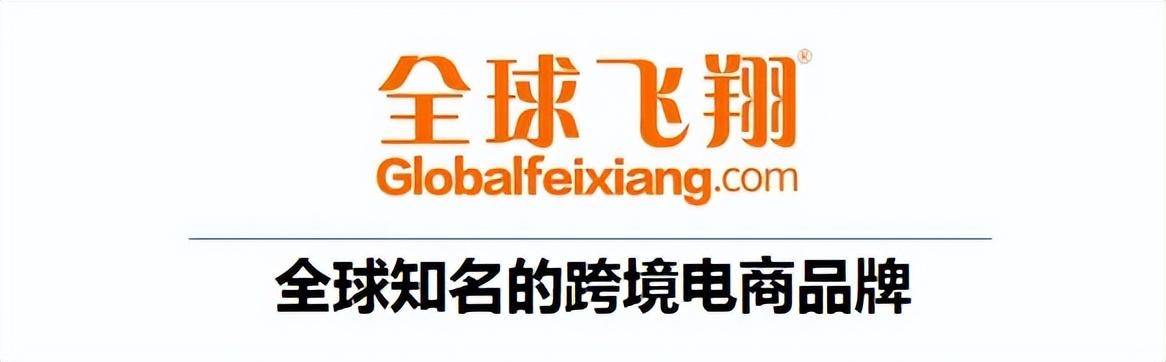"全球飞翔"跨境电商平台:跨境电商进入发展新阶段_卖家_产品_品牌