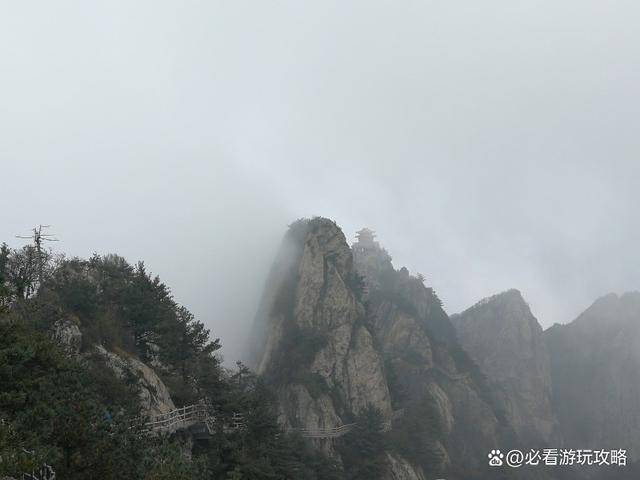 开封到老君山旅游团两日游多少钱开封到老君山旅游攻略路线