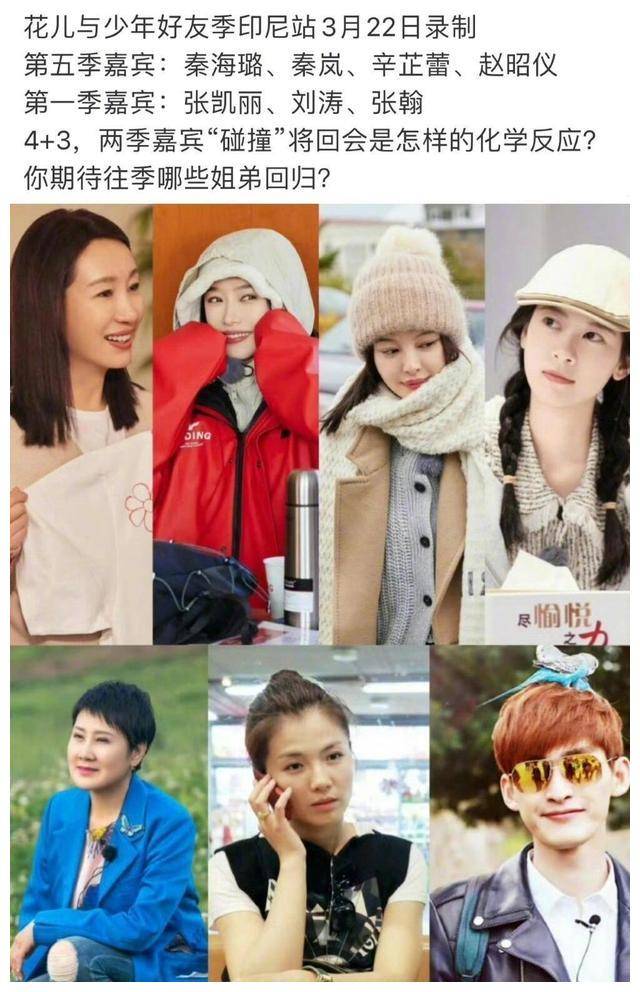 六女一男首度组团,引爆焦点!_张翰_网友_刘涛