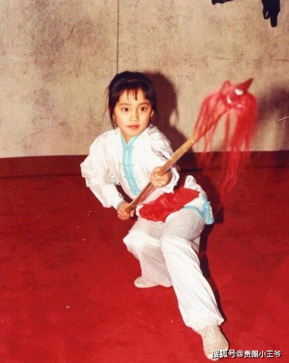 练了武术的王智确实也拍过像《马永贞》这样的动作片,但是一直都是