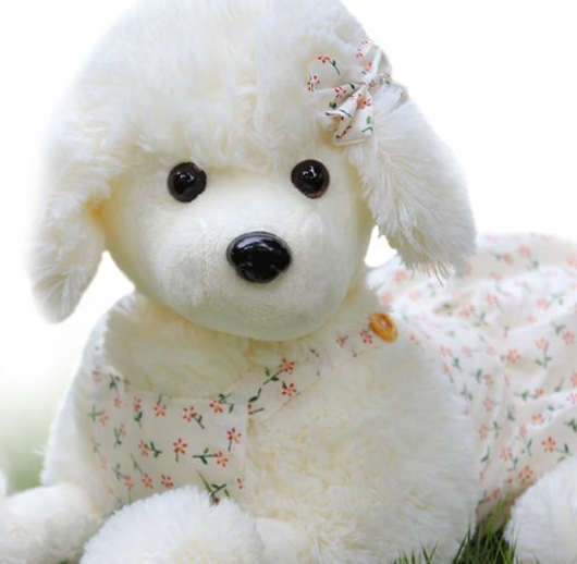 2个月以下的贵宾犬不能洗澡?建议这几种人最好不要饲养它!_狗狗_时候_