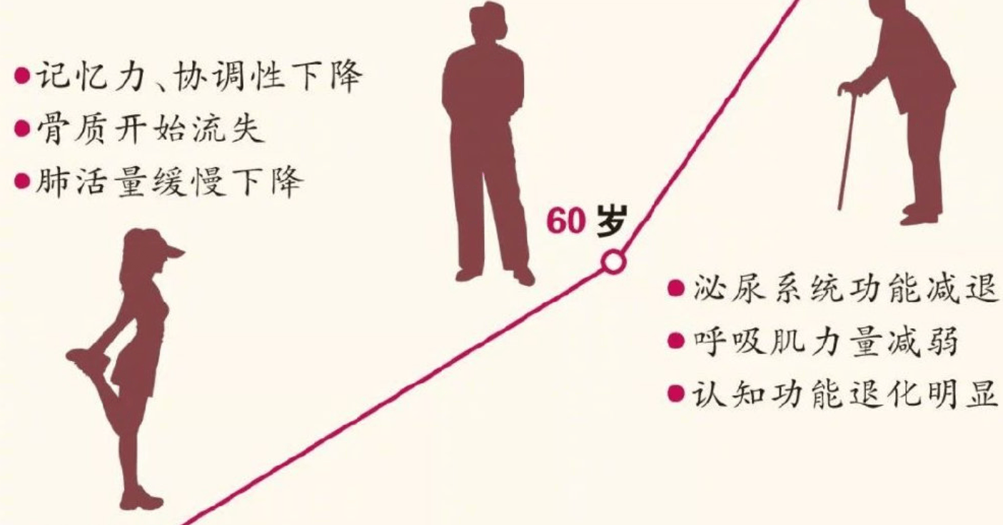 揭秘人体衰老的惊人秘密!