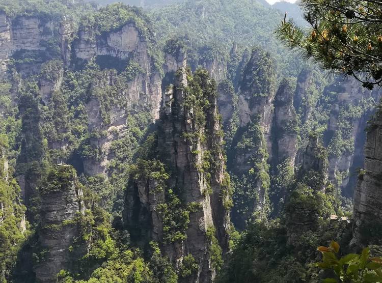张家界当地导游多少钱一天, 湖南张家界地接导游一天多少费用私人导游
