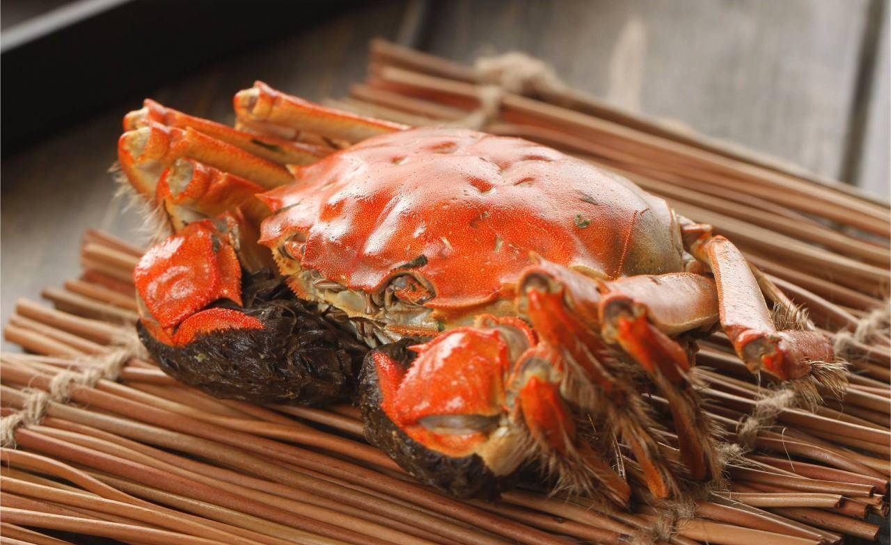 的蟹文化已经发展到研究的阶段,摆脱以往的观念,开始对螃蟹深入的探索