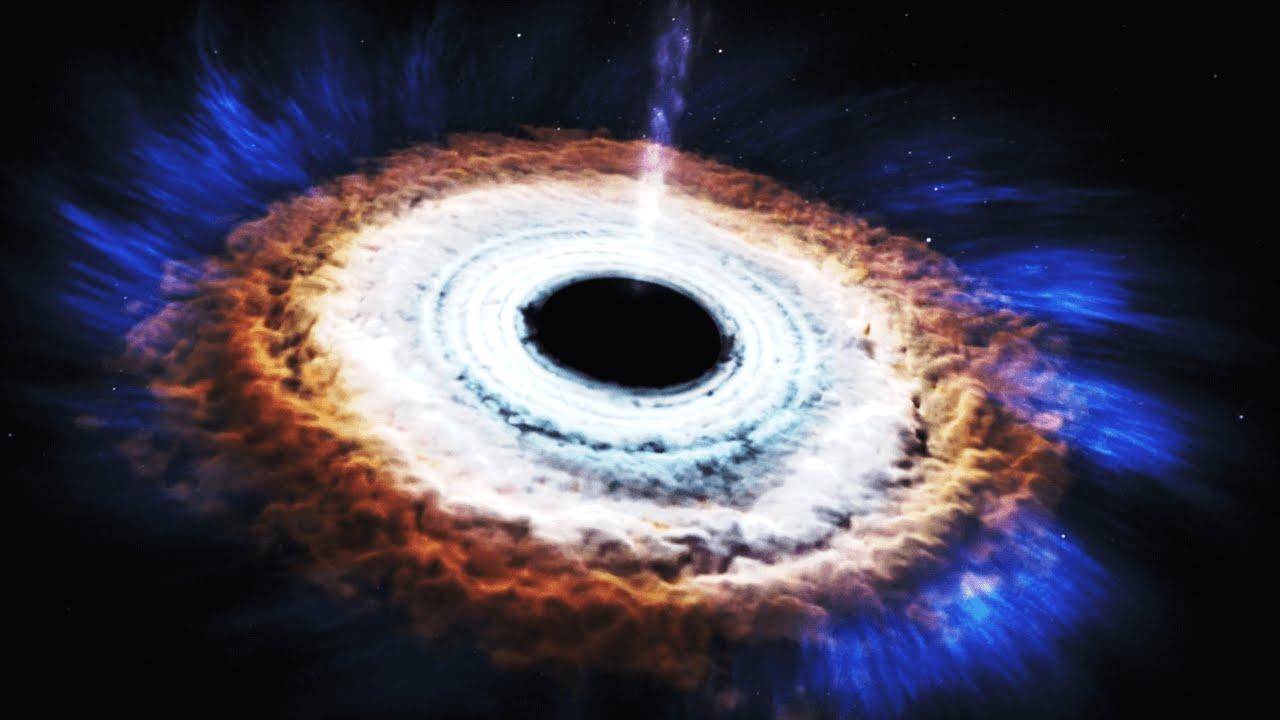 为什么所有的生命最终都会走向死亡