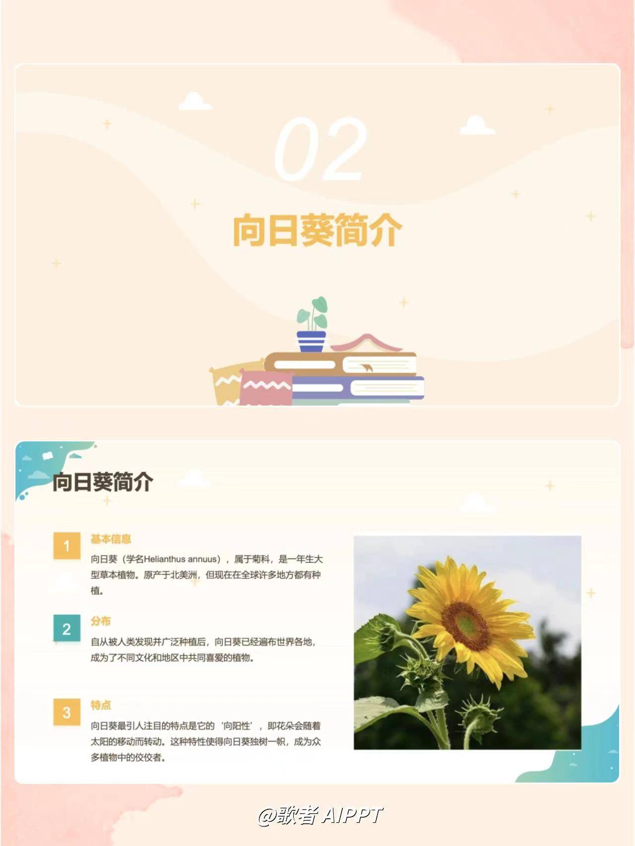 中小学假期作业篇认识向日葵ppt案例