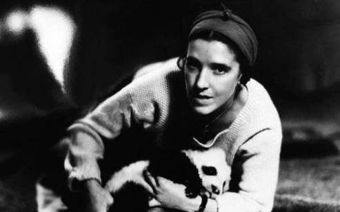 国宝的美国英雄,盗窃中国国宝,枪杀母亲,抓走幼崽_大熊猫_露丝_动物