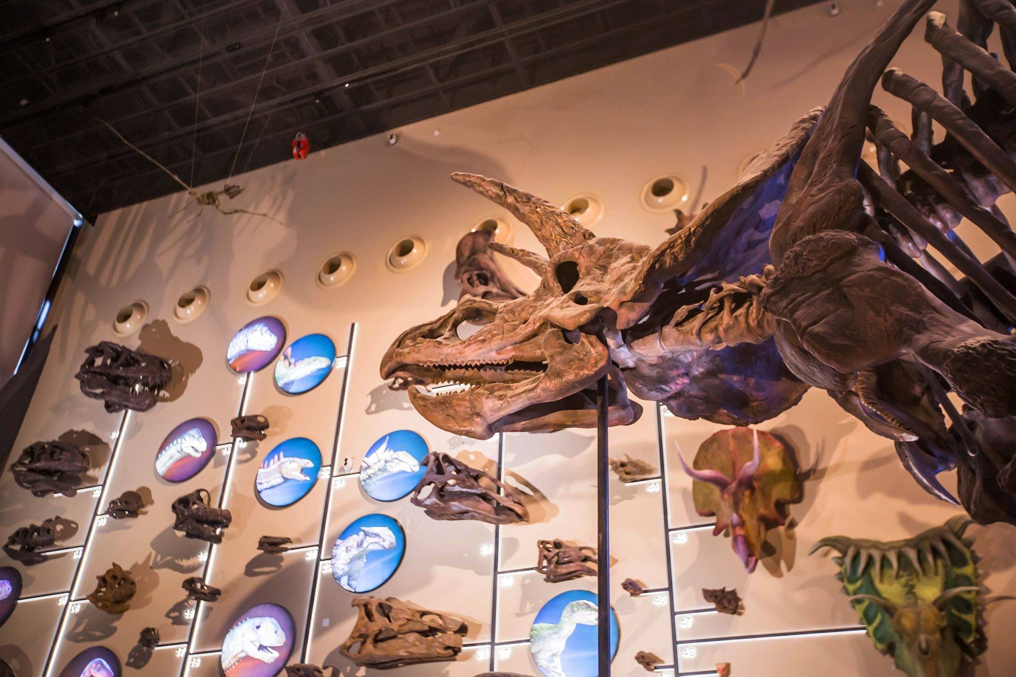 保定中国古动物馆亚洲最大的自然博物馆成为了一处网红打卡地