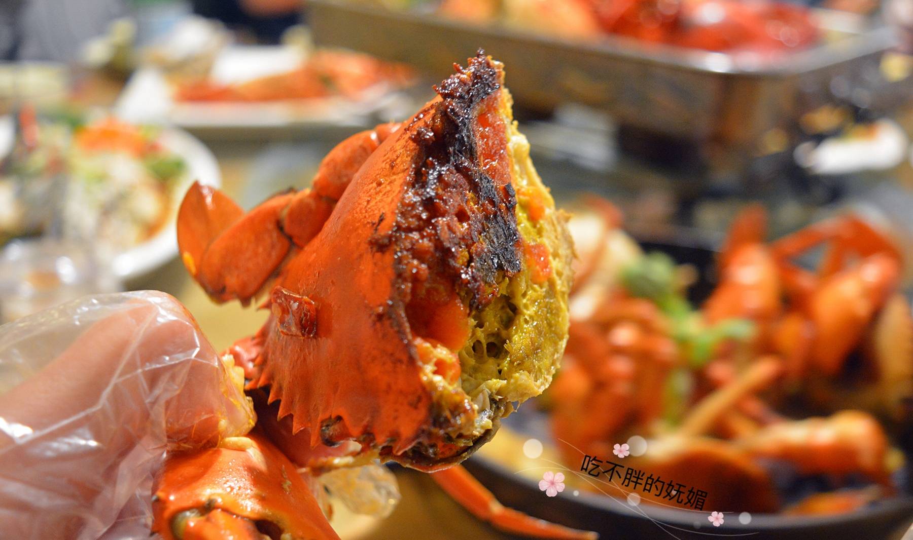 龙虾,螃蟹,扇贝,生蚝,虾菇,花蛤和青口等多种海鲜齐聚一锅.