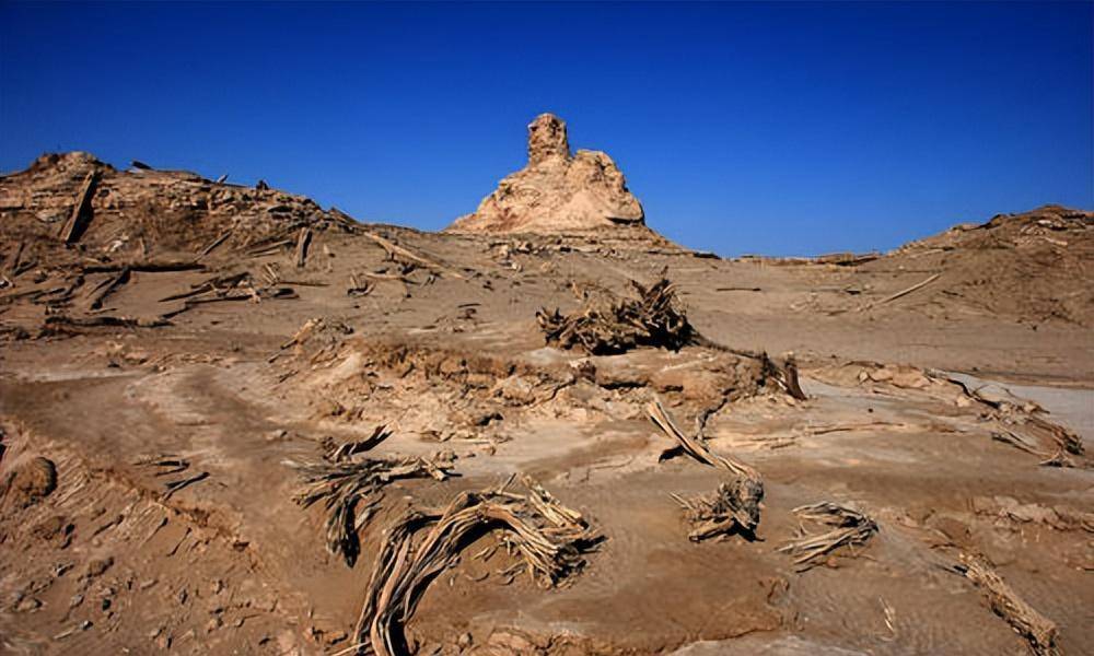 为了寻找黄宝石矿,赵社良在当地租了一驾毛驴车,带上一袋干粮和水源