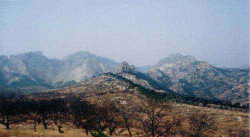 辽庆陵作为方圆近百里的皇家陵园到底是怎么样被盗掘破坏的