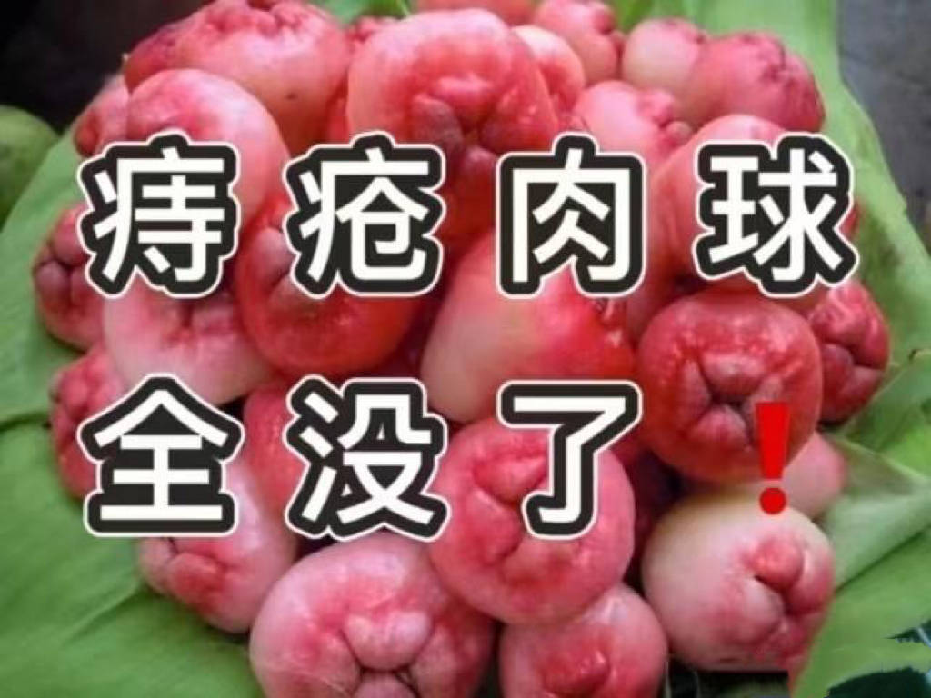 便血和肉球突出问题别担心这个方法效果比手术还要好