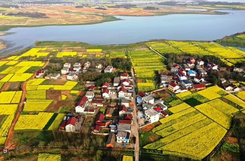 安徽太湖乡村景如画