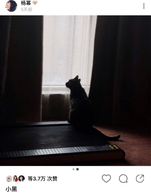 原创杨幂晒豪宅花园春意盎然养猫做饭后再添新技能网友评论扎心了