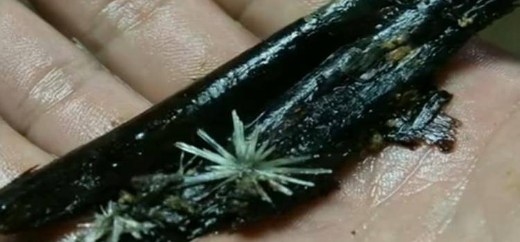 原创2006年发现古墓47口棺木同葬全都是妙龄少女骨间布满结晶体