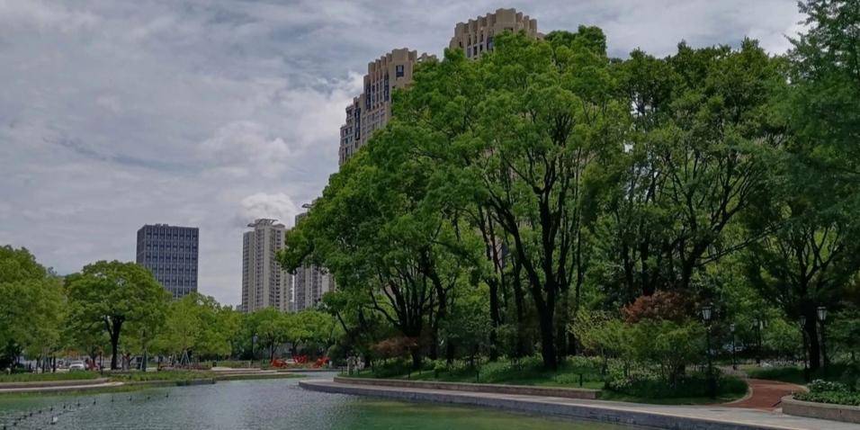 上海黄浦太平桥公园优美的景色令人醉