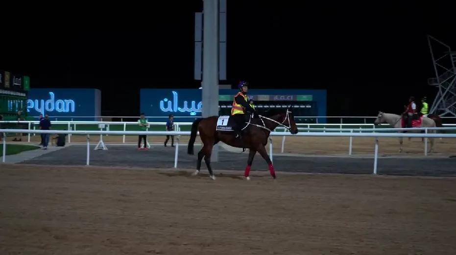 (含名单 采访视频)_加州_出赛_星球