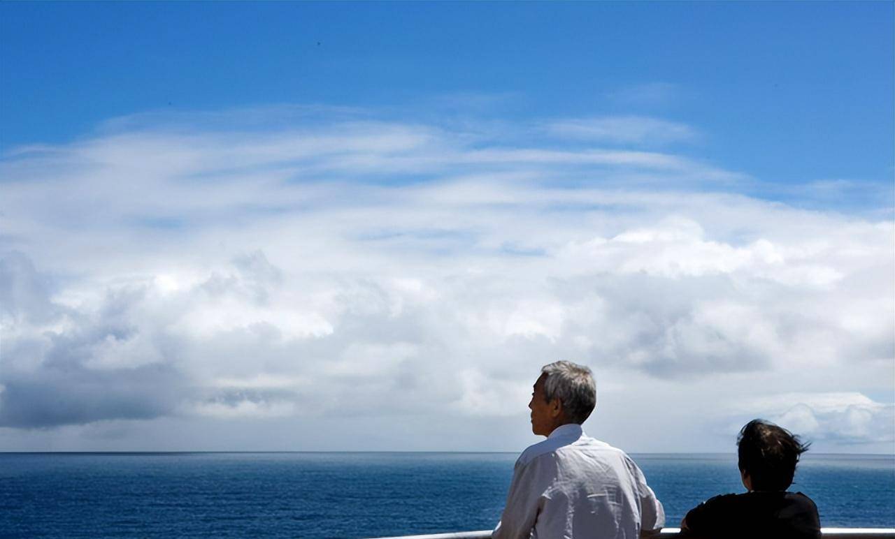 学霸将癌晚期父亲骗出国,88天后归来,结局催人泪下_顾颐_父母_老人