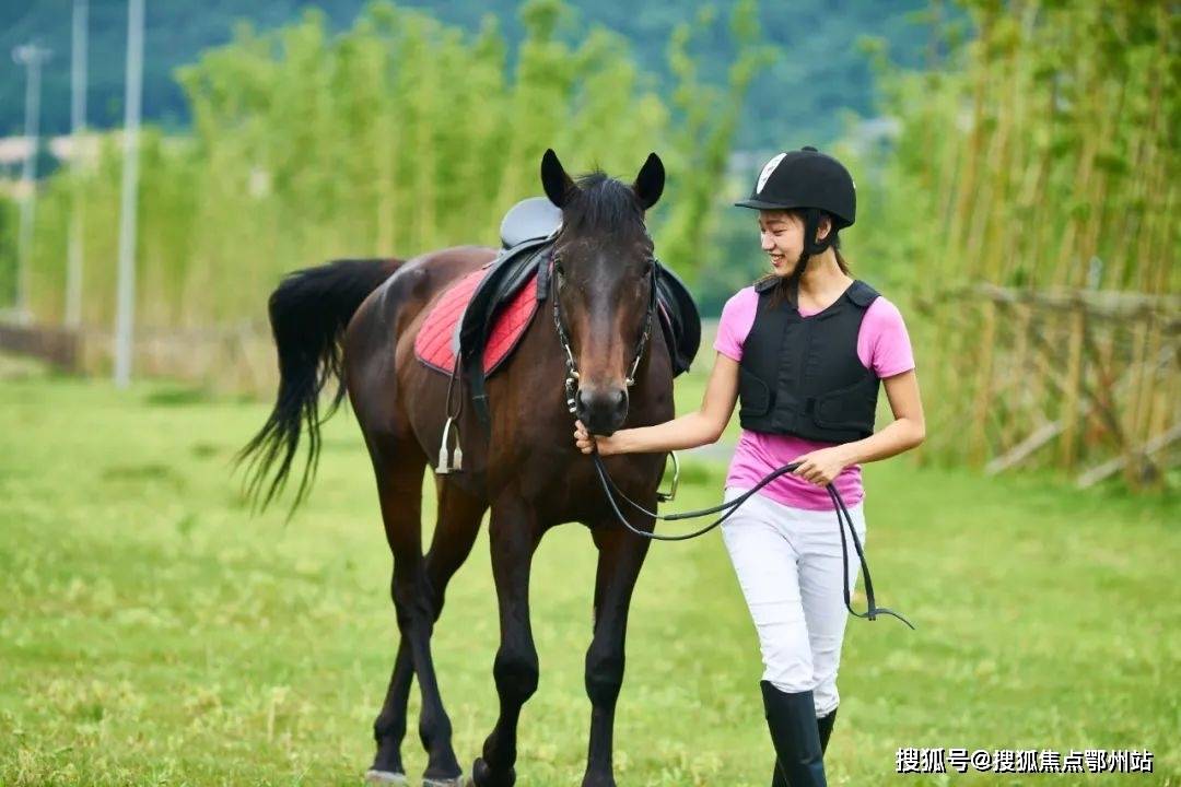 和乐小镇安吉和乐小镇首页网站和乐小镇欢迎您楼盘详情价格户型图