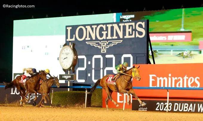 视频2024年迪拜世界杯赛马日马匹排位出炉港马几号档