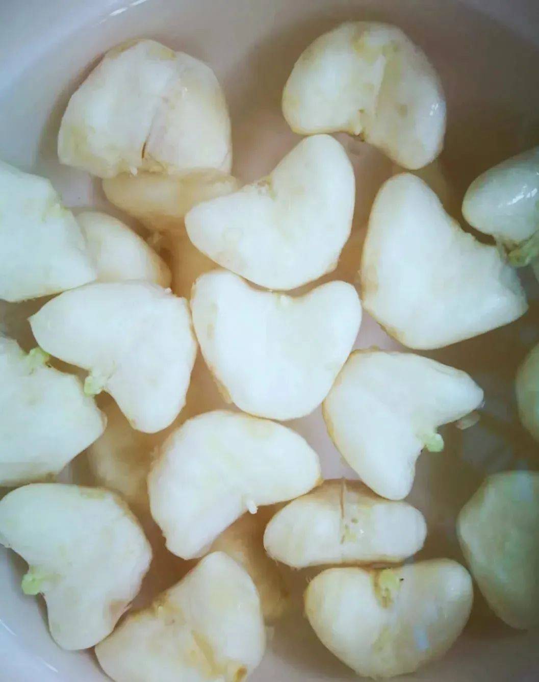 你吃的菱是2角4角还是0角的