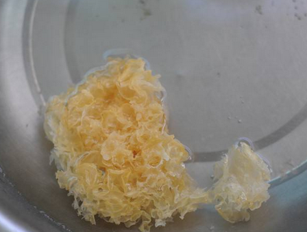 泡银耳时只加水是不行的多加一勺它5分钟就能泡发好