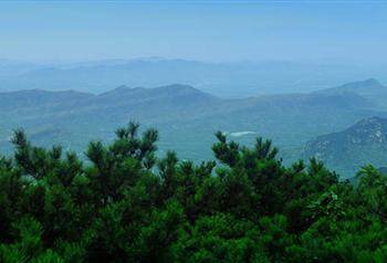 原创寿光的静山我努力钻营了25亿年却被你们这种新生的物种看扁