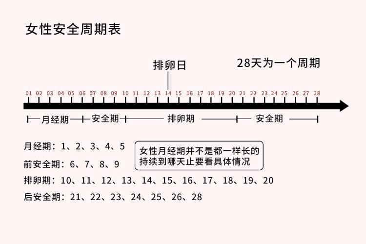 月经周期怎么算图片