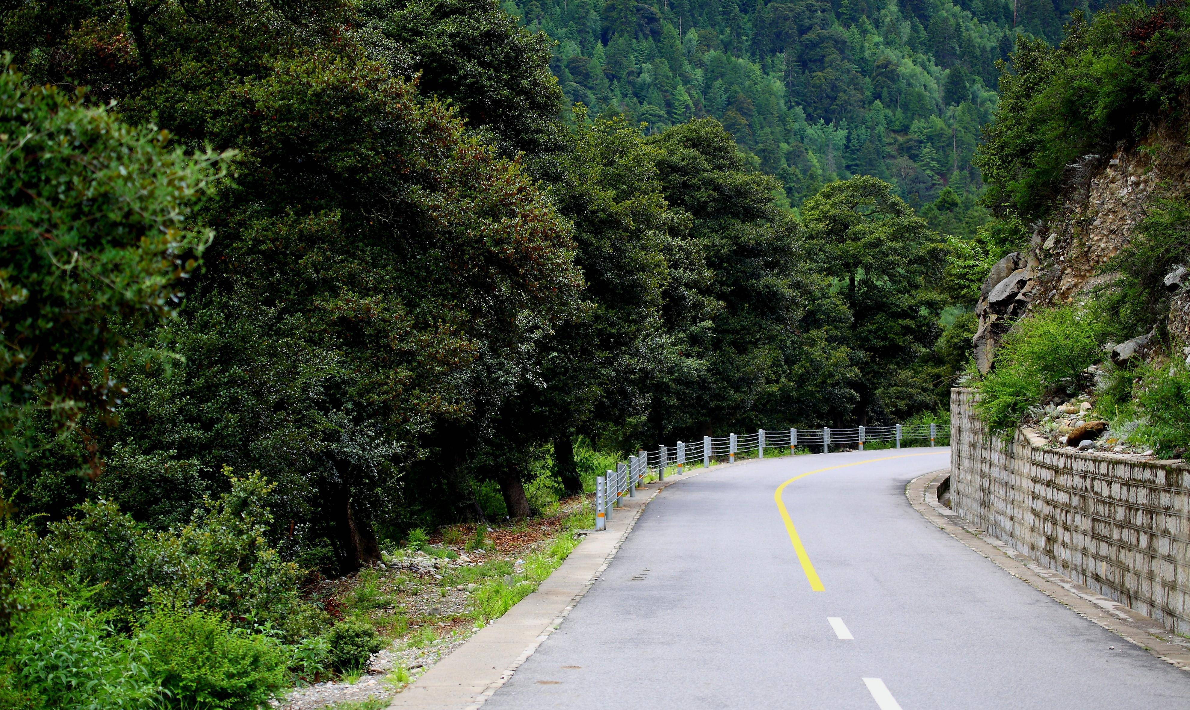 茶就是当年云南输往西藏的茶叶,为了方便长途运输,大都被压制成饼状