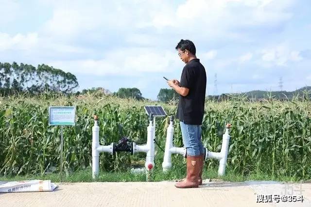 千亩农田1人运营亩均产值超万元东江牧歌把数字化变成生产力