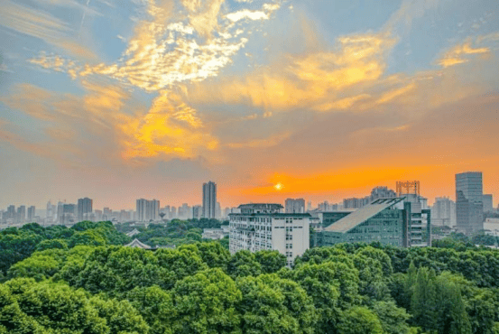 华中师范大学就业好不好拔尖人才培养地教育部遴选果真精品