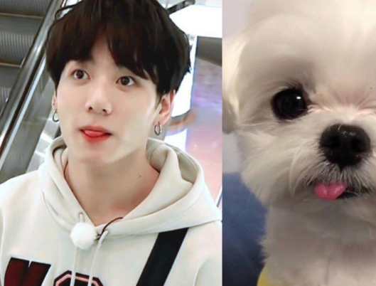 原创防弹少年团田柾国究竟是小兔子还是小狗狗看到这些造型就知道了