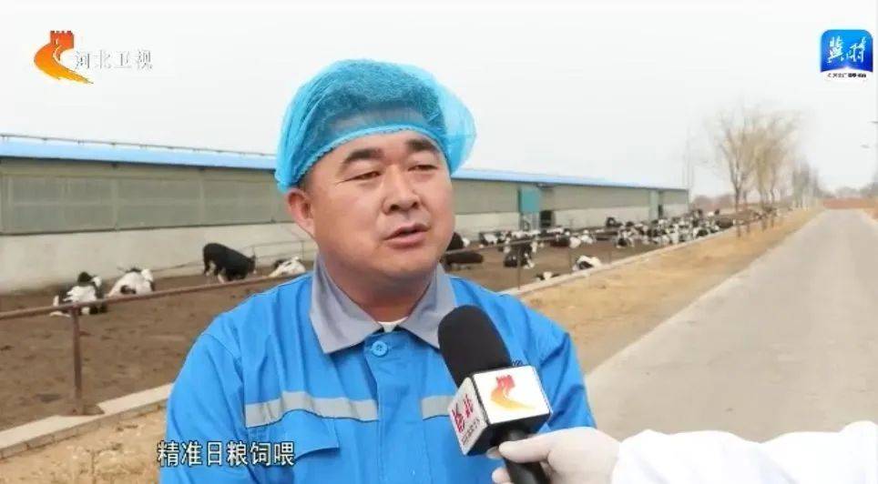 河北新闻联播播出张家口宣化区龙头企业强带动乡村振兴有犇头